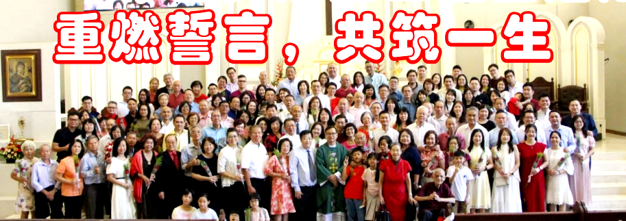 2026年世界婚姻日 重誓婚姻典礼实纪